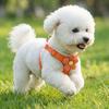Small Dog Harness and Leash Set - Vest-Style for Teddy, Bichon, and Other Small Breeds