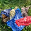 Butter Wing Bandana (Green)