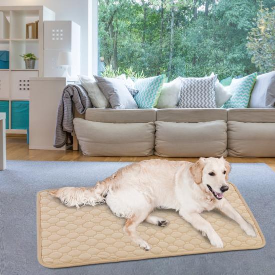 2Pcs Dog Training Pads Washable Waterproof Potty Mats Leak-Proof Reusable Travel Pads