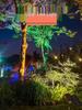Solar LED Garden Landscape Spotlight - Waterproof Outdoor Lawn Light