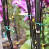 Garden Plant Ties Flexible Wire Design Weather-Resistant Vegetable Tomato Twist Ties Climbing Plants Support Ties