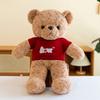 Pullover Bär Puppe niedlicher Teddybär Plüschtier sitzender Stil als Herz Umarmungsbär Mädchen Geschenk