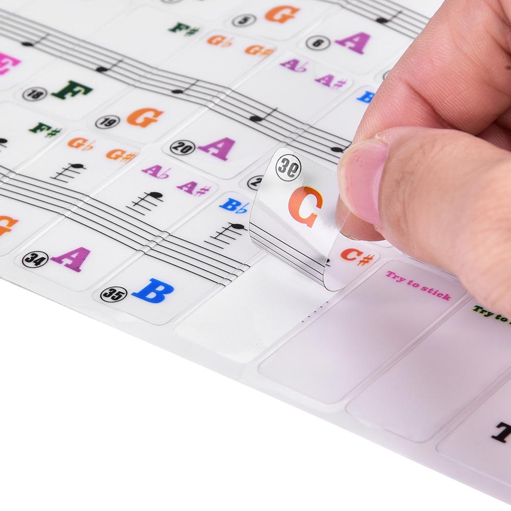 Piano Keys Sticker Set for 61 Keyboard Avtakbart for nybegynnere Transparent