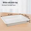Abay Plastic Cold Dish Serving Tray