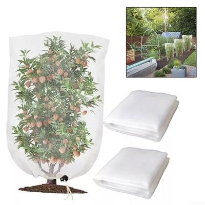 Klíčová slova Nylonové sáčky na ochranu rostlin proti hmyzu