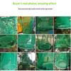 Trampa para moscas colgante con malla verde duradera, captura eficaz y segura para jardines exteriores, granjas, patios, control de plagas