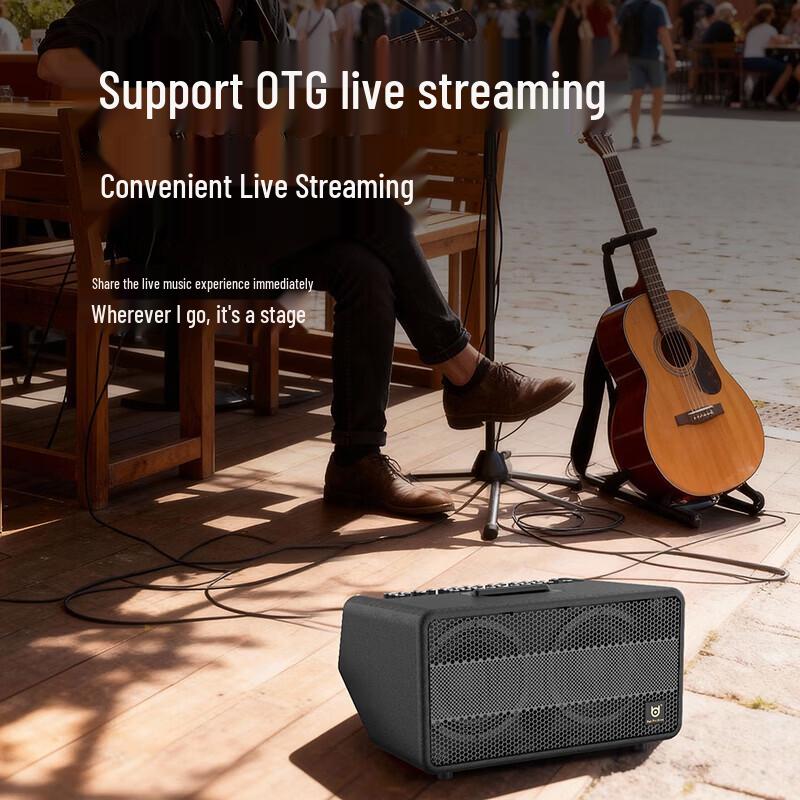 Beide D5 High-Fidelity Outdoor KTV Speaker System (CN version)
