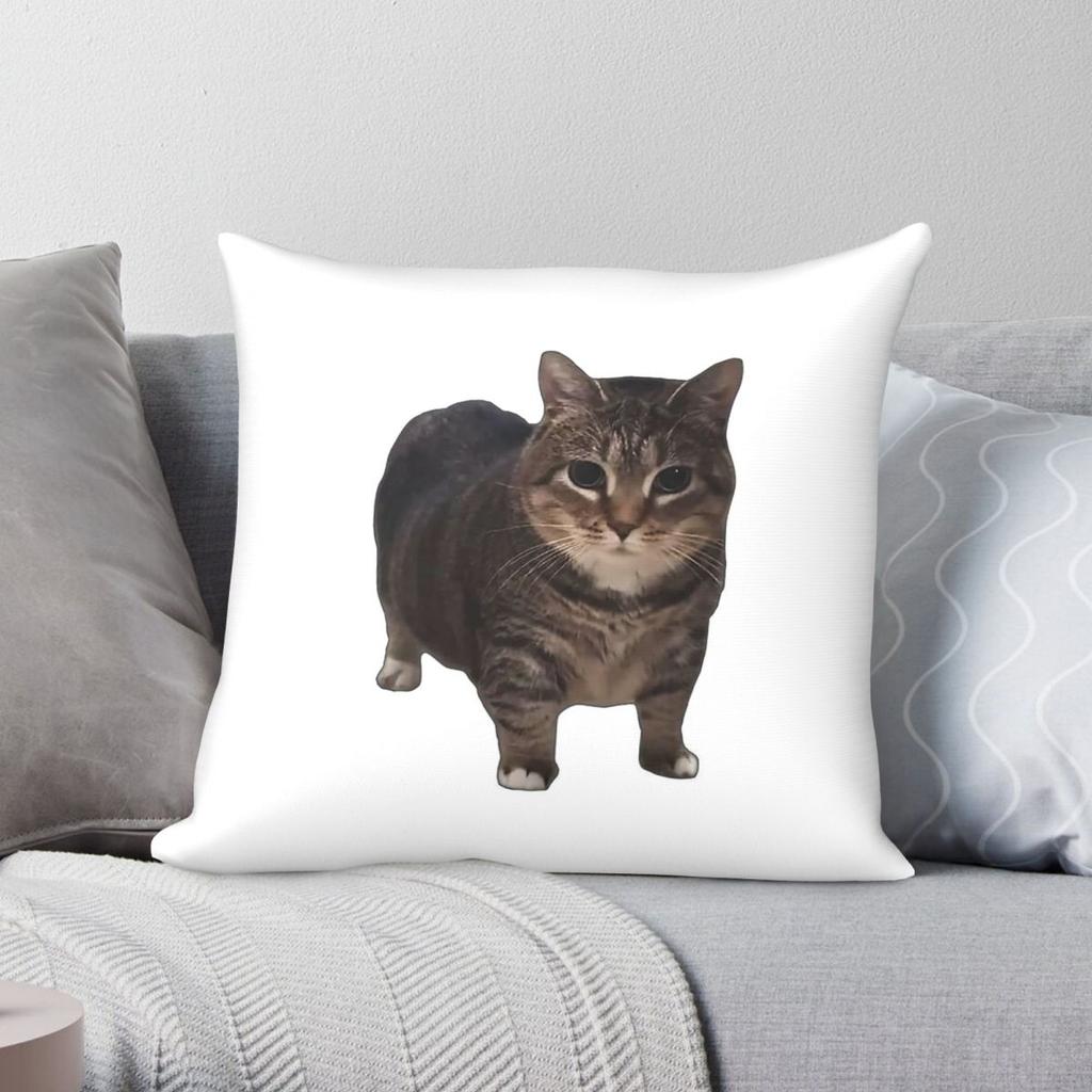 Oiia Oiia Spinning Cat Pillowcase Polyester Linen Velvet Pattern Zip Decorative Throw Pillow Case Room Cushion Cover x
