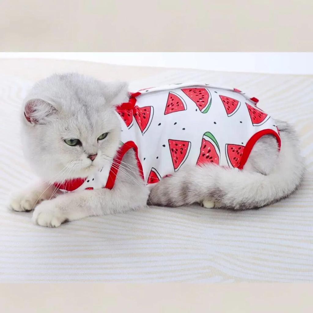Pet Cat Clothes Spring Summer Cats Sterilization Suit Puppy Breathable Jumpsuits Clothing Recovery Anti Licking Wounds Suits