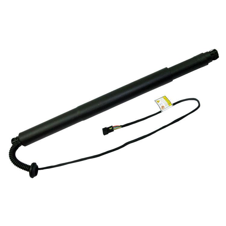 

Электрический упор багажника BMW X6 F16 (Номер детали #51247318651) Автомобильные аксессуары Left (51247318651)