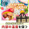 Cooler Box Insulated Freshness with Mesh Picnic 23L, (Hot & Cold), Preservation, Pocket, (Olive)