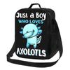 Just A Boy Who Loves Axolotls Lunch Bags Insulated Bento Box Portable Lunch Tote Resuable Picnic Bags Cooler Bag Woman Girl Work