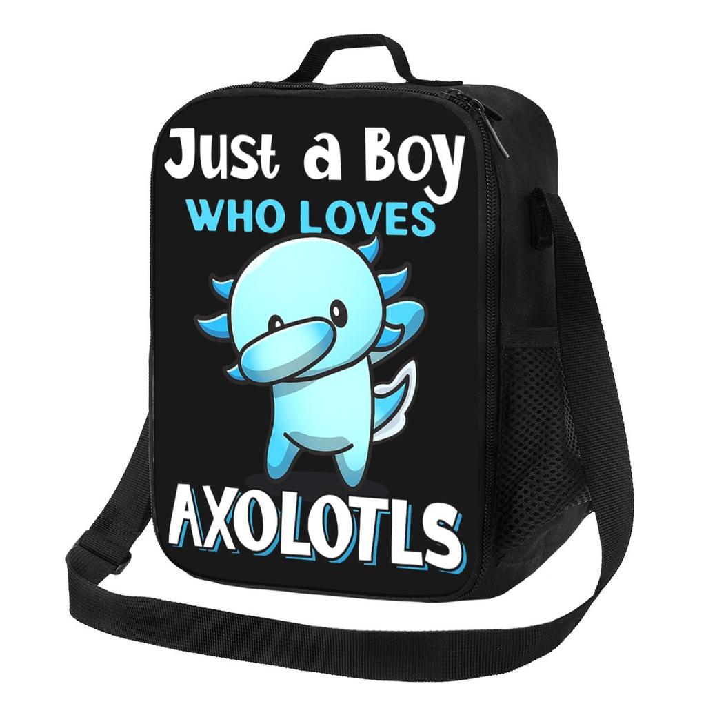 Just A Boy Who Loves Axolotls Lunch Bags Insulated Bento Box Portable Lunch Tote Resuable Picnic Bags Cooler Bag Woman Girl Work