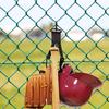 1PC Baseball Bat Rękawica Przechowywanie Klamra Plecak Kask Pasek Klamra Baseball Softball Sprzęt Przechowywanie Akcesoria