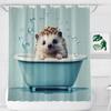Banyo ve tuvalet – Duş Perdeleri
