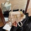 High-end Niche Bag Women's Spring and Summer 2025 New Versatile Fashion Messenger Bag Korean Version Casual Mini Bucket Bag