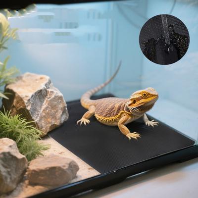 זוחלים – טרריום לזוחלים