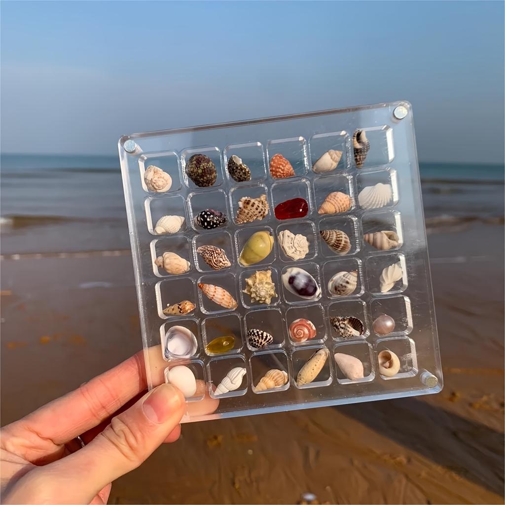 Scatola Espositore Magnetica in Acrilico per Conchiglie Scatola Espositore per Conchiglie Scatola Portaoggetti per Diamanti Organizzatori Piccoli per Hobby Scomparto 36 Griglie