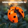 Wind-up Simulation Ladybird Toy Stress Relief Clockwork Beetle Toy Toddlers Boys Girls Educational Interactive Insect Model