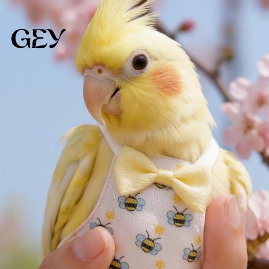Parrot Hygiene Accessory Diaper, Cute Cartoon Print Bird Diaper with Bow, Soft Reusable Nappy Flight Suit for Cockatiels Lovebirds Budgerigars