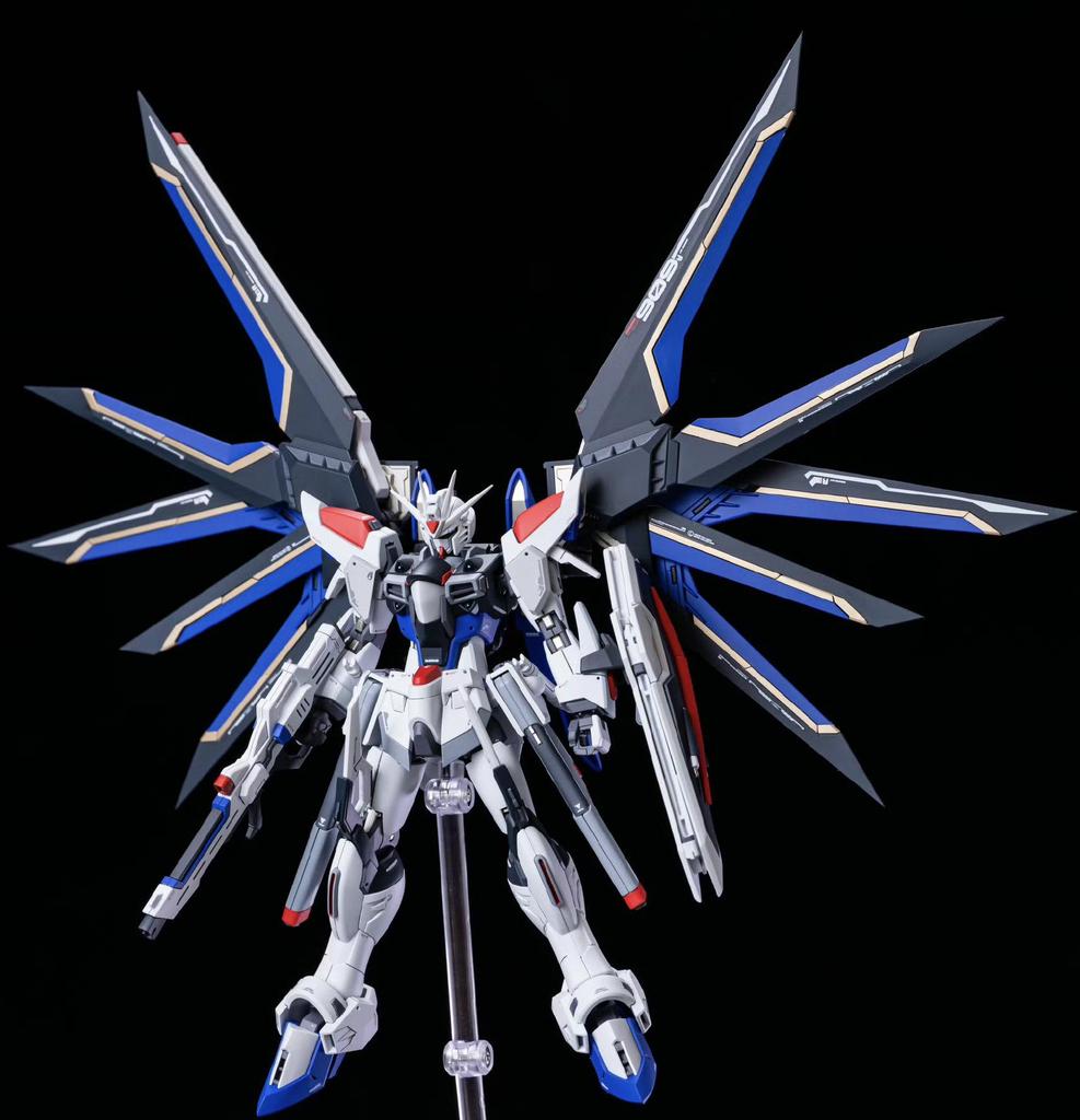 HG Strike Freedom Unicorn Red Astray Gundam Model Building Kit