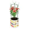 Plant Support Pile Plastic Semicircle Climbing Vines Stake Bonsai Flower Stand Cage Garden Plant Grow Fixing Rod Rack