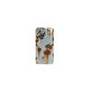 Retro Rust iPhone 17 Pro Max Case & Film Combo 