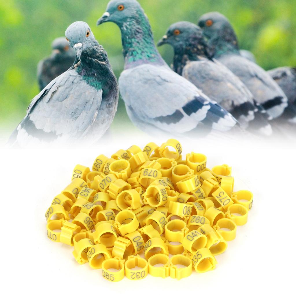 100Pcs Bird Foot Rings Bands 10mm 001-100 Numbered Pigeons Identify Clip Poultry SupplyYellow