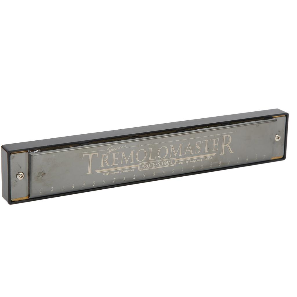 Harmonica 24 Holes Key of C Mouth Organ Instrument Toy with Case for Beginner Kid Adult