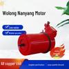 Wolong Nanyang Ultra-Efficient NEMA Three-Phase All-Copper Motor