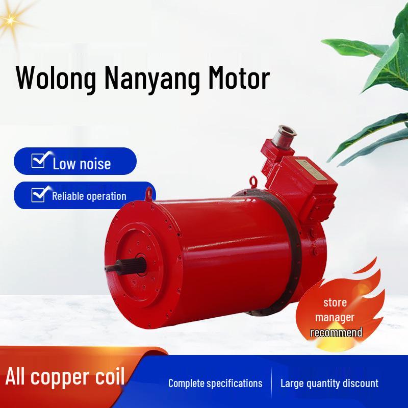 Wolong Nanyang Ultra-Efficient NEMA Three-Phase All-Copper Motor