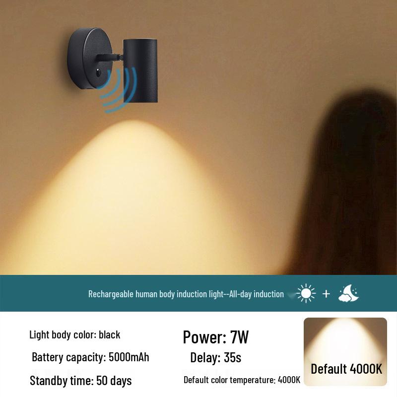 

Rechargeable Motion-Activated Voice-Control Wall Spotlight