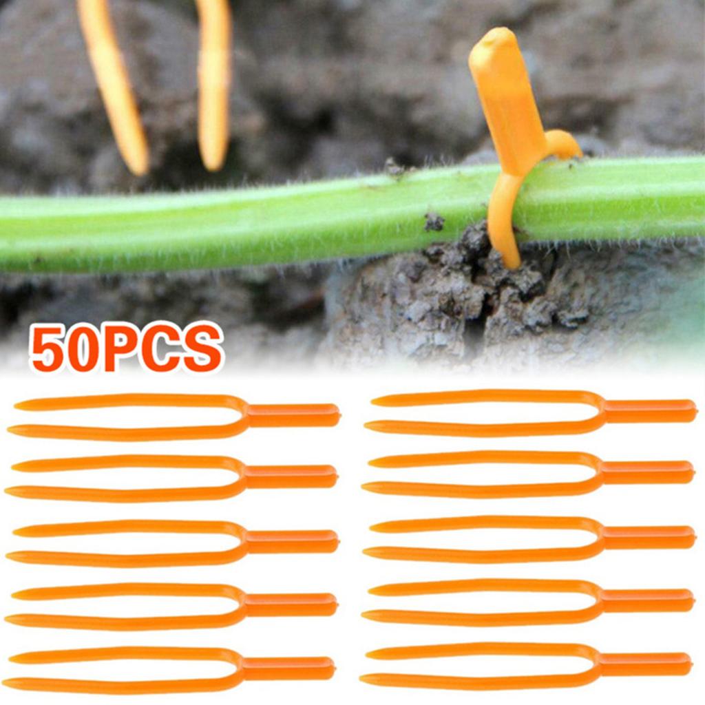 50PCS Strawberry Planting Fork Garden Strawberry Planting Fork Watermelon Fastening Fixture Clamp Clip Plant Support for Garden