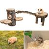 Hamster Cage Ladder Toy for Small Pet Wood Platform Squirrels Swing Playground Toy Accessories Small Animal Climbing Toy