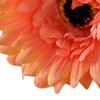 1 Stück schöne künstliche gefälschte Seide Gerbera Gänseblümchen Blume Home Hochzeit Party Dekor