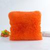 Korean Plush Pillowcase Crystal Long Plush Sea Lion Pillow