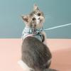 Pet Traction Rope Vest Type Cat Universal Chest Strap Dog Chain Dog Supplies Walking Cat Walking Dog Rope Less Than 3 Kg,2024 Ping