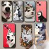 Siberian Husky Cute Dog Phone Case For Iphone Xiaomi Mi Redmi Samsung Galaxy Note S 9 10 11 12 13 22 Pro Max Plus Uitra Black TPU Soft Mini