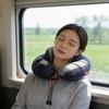 Modern Ionized Ushaped Travel Neck Pillow With Double Layer Press And Gift Box For Adults