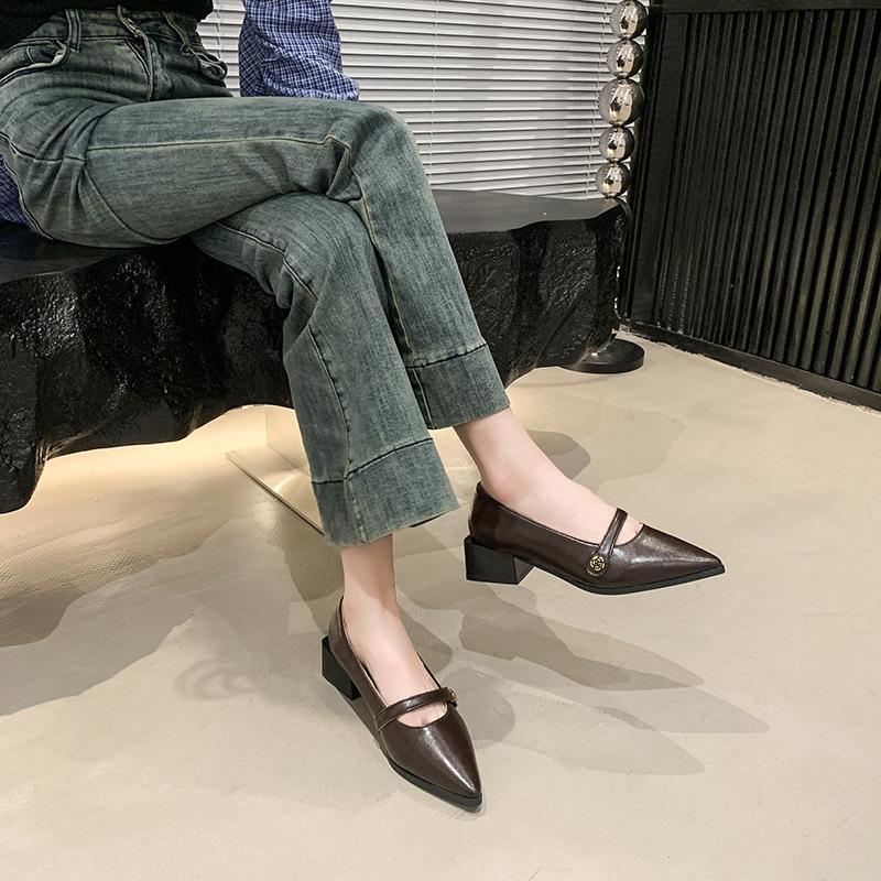 Pointed commuter shallow mouth single shoes women's spring and autumn French retro casual evening thick heel fashion Mary Jane small leather shoes