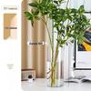 Roomco Anti-Fall Transparent Acrylic Flower Vase