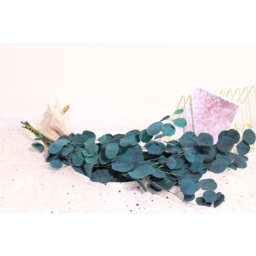 1 mazzo Fiori Secchi di Eucalipto Durata Eterna Bouquet di Fiori Secchi Decorazione Decorazione Soggiorno Casa