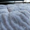 TEMU Bestseller Hunde-Matten- & Bett-Kombination