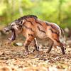 Dinosaur Action Figures for Kids - Realistic Prehistoric Creature Toys , Educational Play Set for Ages 3+ Gift Idea Dunkleosteus