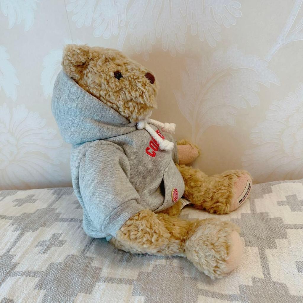 [USED] Rare Item! Cornell University Teddy Bear