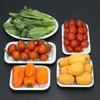 Plastic Fresh Food & Fruit Packaging Trays