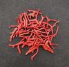 Natural red Coral Gemstone Reef, Italian Red Coral Polish Rough, Natural Gemstone Beads, Mediterranean Sea Coral lot.
