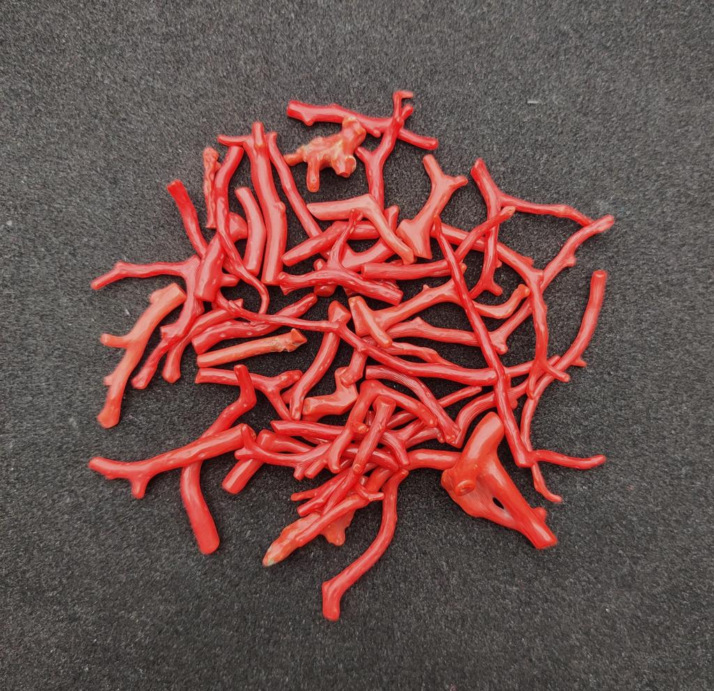 Natural red Coral Gemstone Reef, Italian Red Coral Polish Rough, Natural Gemstone Beads, Mediterranean Sea Coral lot.