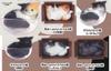 Movic Cat is Liquid x Complete Set of 6 Full Gachapon Capsule Toy Types, Set,