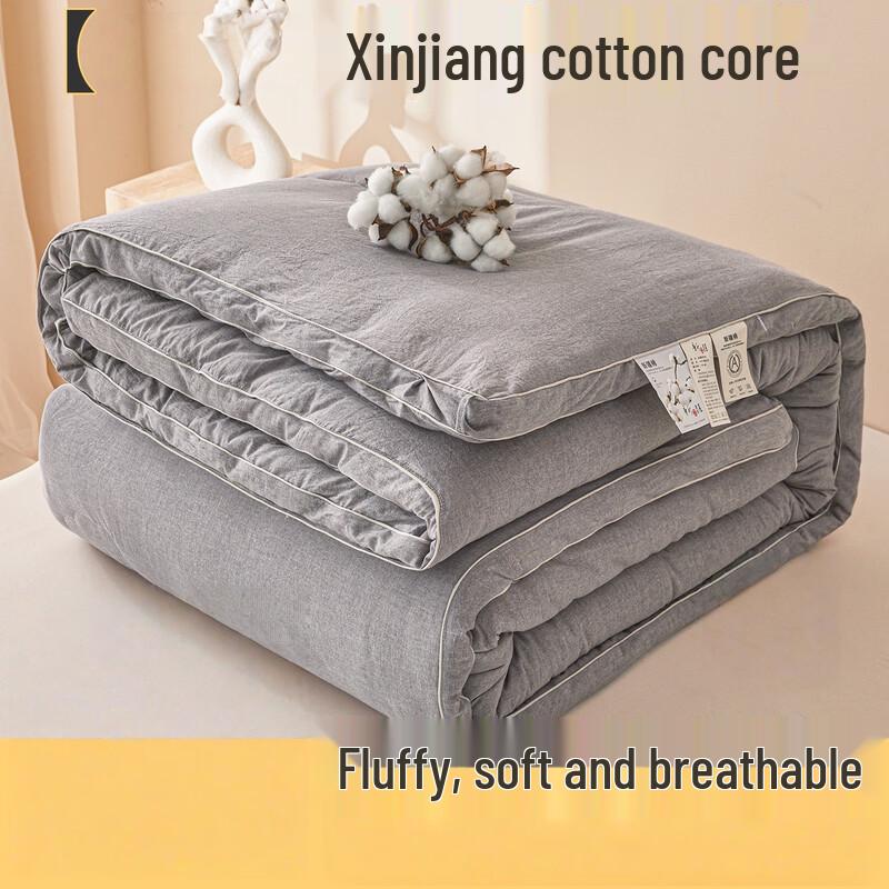 

LISM Winter Warm Cotton Quilt